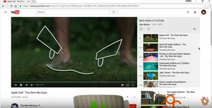 Snip20170808 8.png (357 KB) YouTube's smug grin.