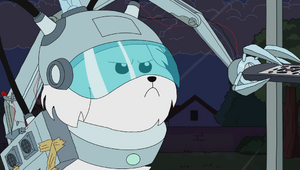 Snowball's evil stare.