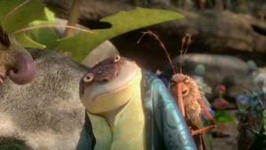 Bufo upset that Nod won.