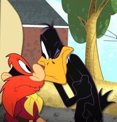 Sam facing Daffy