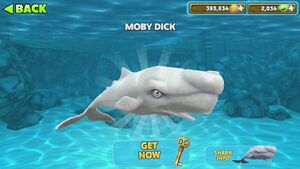 Moby dick hungry shark
