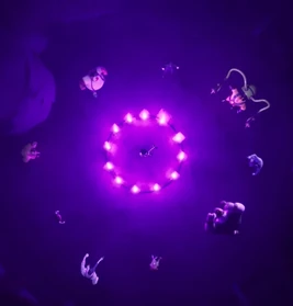 Akumatized Criminals