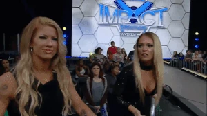 Angelina Heel Turn 2017.gif (2.57 MB)