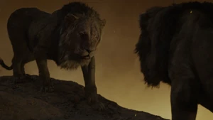 Simba: "You fooled the hyenas, just like you fooled me!"