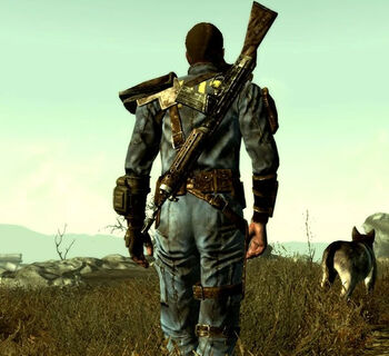 The Lone Wanderer.jpg