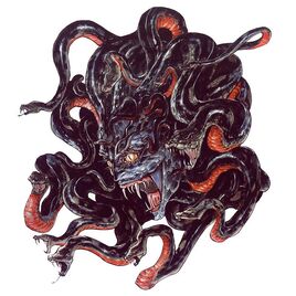 Medusa Head