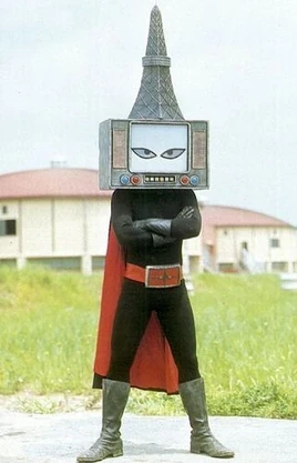 Television Mask