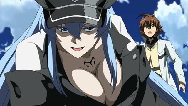 Akame ga kill The Anime With Esdeath in it