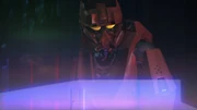 C.T