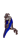 DC BO Phalanx (Flying).gif