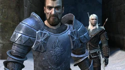 Geralt and Jacques in a vision of Vizima Frozen by the White Frost