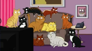 Jane's many pet cats watching Guiding Light.