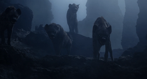 The Hyenas during the night.