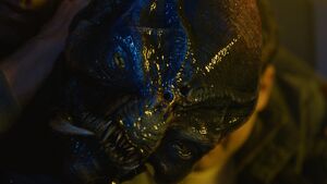 083 GF0240 v049.1078.jpg (96 KB)