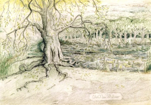 Old Man Willow by Tolkien from Tolkien Gateway.jpg (1.26 MB)