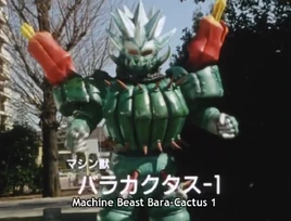 Bara Cactus 1