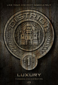 District 1's logo