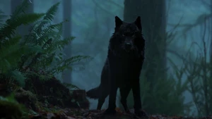 Hellhound-xfiles.jpg (83 KB) Mister Chuckle Teeth's Hellhound form (X-Files)