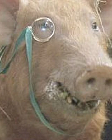 Squealer Villains Wiki Fandom