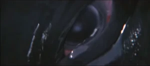 Orca sheds a tear for his mate and child.