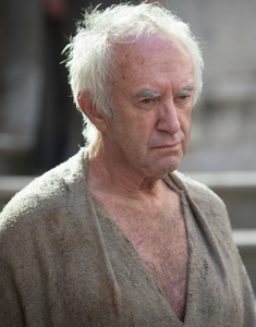 High sparrow