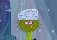 Rumaki has a rock hit his head