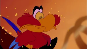 Iago having been fed a cracker by the Sultan.