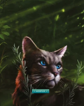 Ashfur.FG-8
