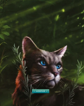 Warriors Ashfur Quotes