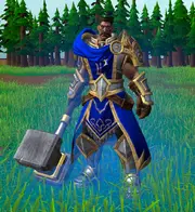Human Paladin REFORGED