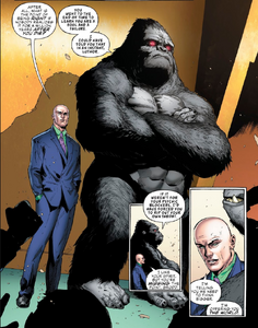 Luthor ask Grodd to join the team.