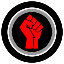 NovosibirskRiotersFactionLogo