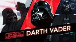 Darth Vader - Path of the Dark Side Star Wars Galaxy of Adventures