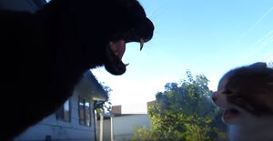 Sylvester screaming at Random Kitty's Kittens