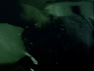 Gerald Demus reflection.jpg (173 KB) Demus’ reflection after tasing Thomas.