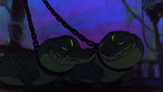 Alligators.png