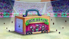 Circus Sea Fleas