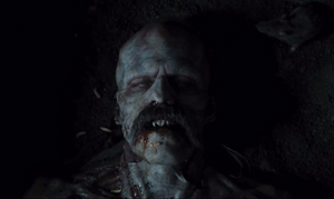 Orlok sleeping in his coffin.