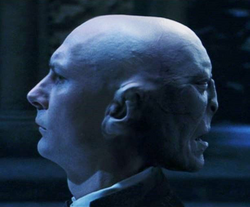 Voldemort reveals himself to Harry