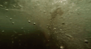 The Bull Shark killing Maya.