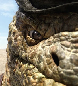 Character large 332x363 bill