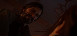 David, Wiki The Last of Us