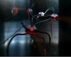250px-Metal spiders2.jpg
