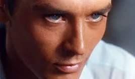 Purple Noon