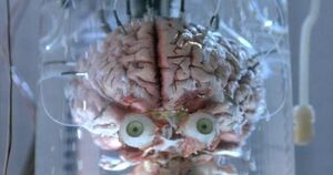 Cain's brain.jpg (105 KB) Cain's brain.