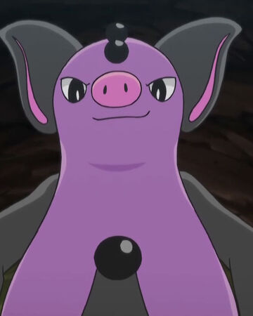 grumpig pokemon anime  villains wiki  fandom