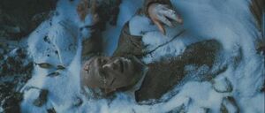 Harvey's death.