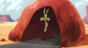 Wile E. Coyote 2020 05