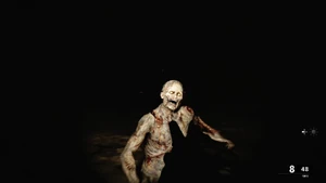 Zombies in the campaign of Call of Duty: Black Ops Cold War, appearing as an easter egg of scenario 17 in "Break on Through".