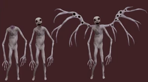 The Angel's full body diagram.